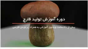 تولید قارچ در خانه