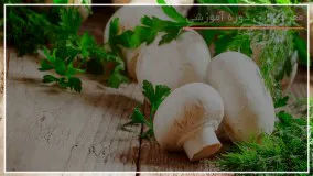 پرورش قارچ گانودرما در خانه