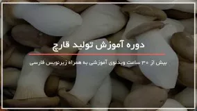 آموزش تولید انبوه قارچ های خوراکی به روش ساده