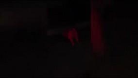 جالبترین - ویدئو : ویدیو های جالب - خنده دار ترین کلیپ دنیا