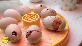 ویدیو لحظه زیبا از بیرون آمدن جوجه اردک از تخم