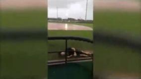 جالبترین - ویدیو : گلچین شده : صحنه هایی که نمی توانید نخندید- جدید