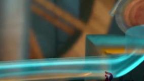 آرزو کن، ریبونا برآورده کننده آرزوهاست!