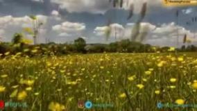  ایرلند جزیره ای زیبا با فرهنگ و تاریخ ماندگار - بوکینگ پرشیا bookingpersia