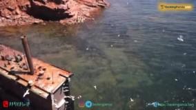  شبه جزیر مادلین در کانادا، تلفیق جنگل و دریا - بوکینگ پرشیا bookingpersia