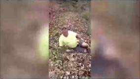 جالب - ویدیو : لحطه هایی که نمی توانید نخندید- جدید