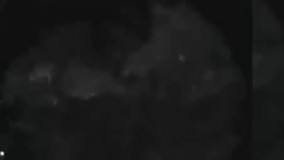 جالب - جدید : میکس صحنه های جذاب و جالب و خنده دار از سراسر دنیا- جدید