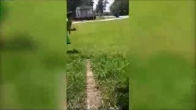 جالب - میکس : بهترین صحنه های خنده دار که تا حالا دیدید- حتما ببینید