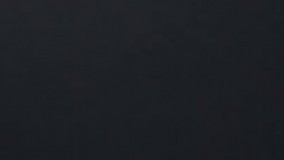 انیمیشن های 2019 و 2020-دانلود باب اسفنجی 3