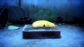 كارتون جذاب لاروا ~ كارتون كودكانه