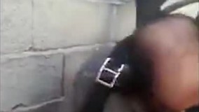 تلاش دیدنی آتش‌نشانان تبریزی برای نجات ۲ توله سگ