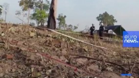 موش مین‌ یاب مدال طلای شجاعت دریافت کرد