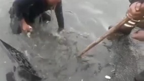 کارگر زحمتکش شهرداری که سوژه فضای مجازی شد