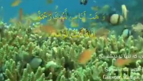 ربنای استاد محمدرضا شجریان