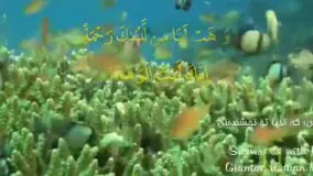 ربنای استاد محمدرضا شجریان