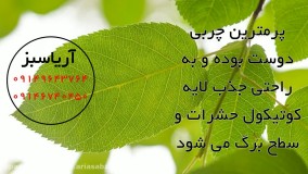 پرمترین، سم قوی برای دفع انواع آفات گیاهی | Permethrin