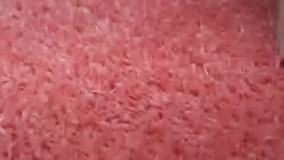 خرید فرش مدرن | وینتیج | شگی | دستباف نما ارسال رایگان