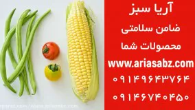 حشره کش مالاتیون، سم قوی و تاثیرگذار بر انواع آفات گیاهی | Malathion