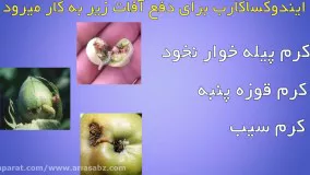 حشره کش خارجی آوانت |Avant  | سم با کیفیت برای مبارزه با آفات پروانه ای مزارع