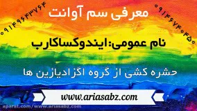 نابودی کرم پیله خوار نخود با سم آوانت | Avant