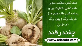 خلاصی از شر علف های هرز با سم سلکت سوپر | Select Super