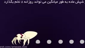 ریشه کن کردن شپش و تخم شپش با شامپو خارجی دی فنوترین