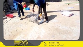 نصب سیم خاردار حلقوی | آموزش مرحله‌به‌مرحله حصارکشی