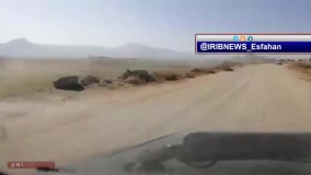 احتکار پیاز در حاشیه یک جاده روستایی