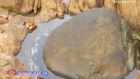 شکار شدن یک خرچنگ توسط اختاپوس در بیرون از آب