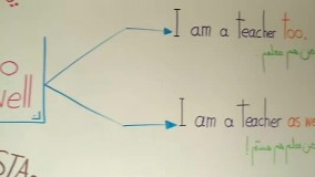 تفاوت too و as well