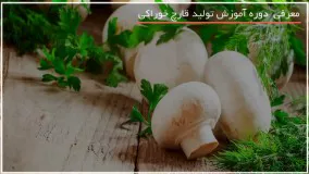 روند تصویری پرورش قارچ دکمه ای در زیر زمین خانه