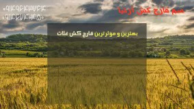 درمان زنگ غلات با سم آرتیا | Artea