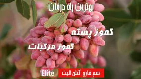 قارچ کش الیت | Elite معجزه درمان گموز پسته و مرکبات