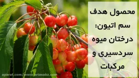 نابودی آفات درختان میوه با حشره کش اتیون | Ethion