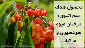 دفع آفت شپشک و سپردار از درخت پسته با حشره کش اتیون | Ethion