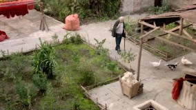 دانلود فیلم بنفشه آفریقایی