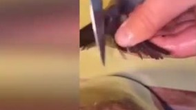 ترفندی عالی برای پاک کردن ماهی