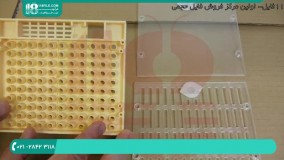 نکات کلیدی در مورد تغذیه و نگهداری زنبور عسل در زمستان