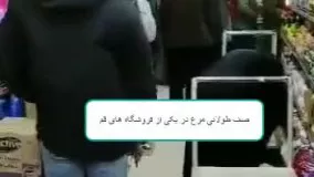 صف طولانی خرید مرغ در یک فروشگاه قم