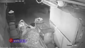 نجات جان نگهبان شیفت شب توسط یک کارتن خواب از آتش سوز عمدی