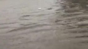 آبگرفتگی و خاموش شدن خودروها ، میدان فرودگاه بوشهر