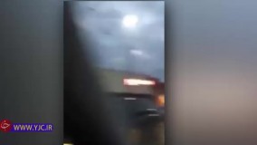 کلاغ‌ها، آسمان سیاتل را سیاه کردند