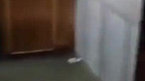 امام جمعه اهواز شبانه به آب زد