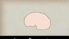 مغز انسان و موسیقی