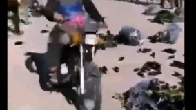 بادمجان رودان