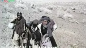 دادشاه