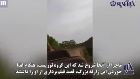 لحظات دلهره‌آور چند توریست در تعقیب‌وگریز یک زرافه