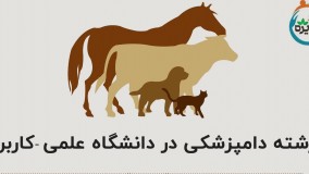 رشته دامپزشکی در دانشگاه علمی کاربردی