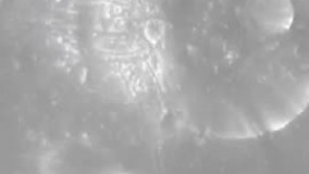 صدای یکی از اقمار مریخ را بشنوید