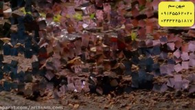 خطرناکترین گونه به نام عقرب‌ قرمز هندی | کشتن خطرناک ترین عقرب ها با سم اسکورپیون کیلر